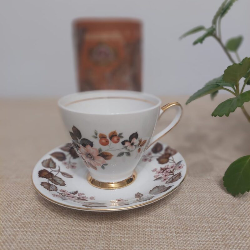 Dúo armado Royal Albert y Windsor en tonos café